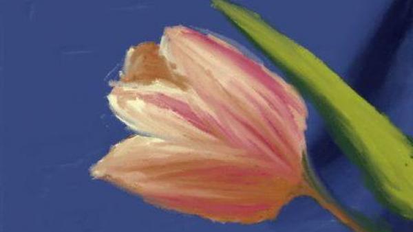 Eine gemalte Tulpe ist zu sehen.