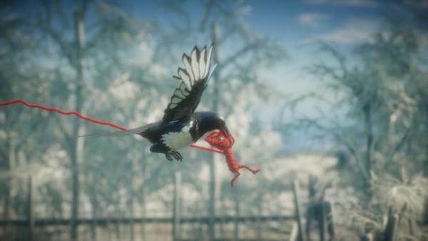 Screenshot: Yarny erfasst von einem Vogel