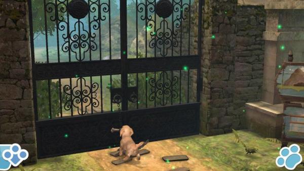 Ein Hund öffnet ein Tor.
