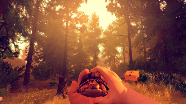 Screenshot: Spielfigur hält eine kleine Schildkröte in der Hand und trägt sie durch den Wald.