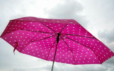 Ein rosa Regenschirm